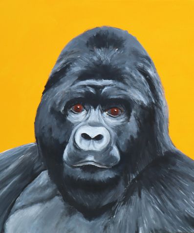 Gorilla - akryl