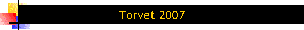 Torvet 2007