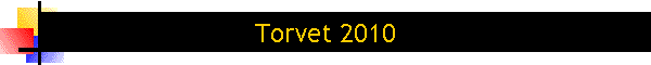 Torvet 2010