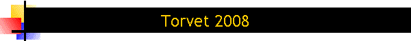 Torvet 2008